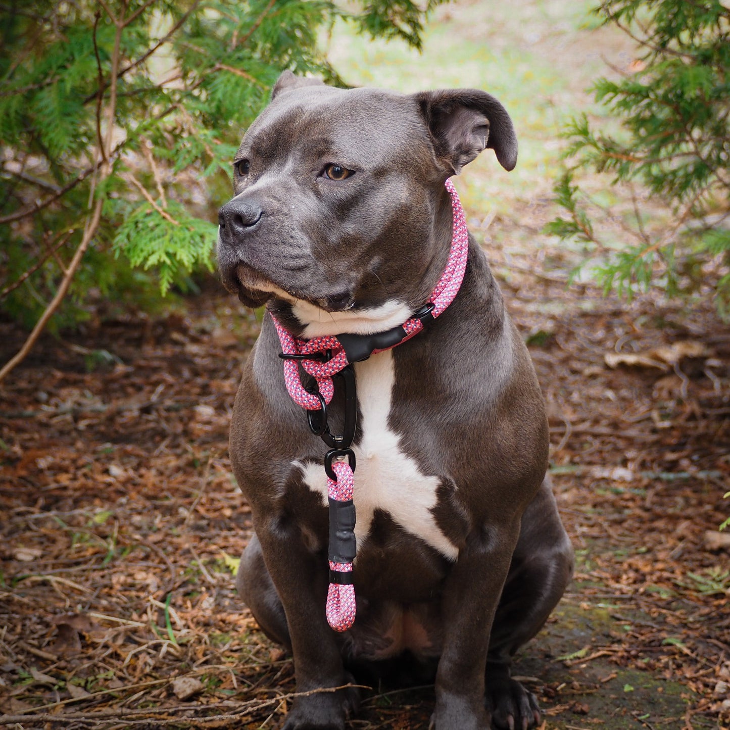 Non-climbing rope - The NT Slip Collar