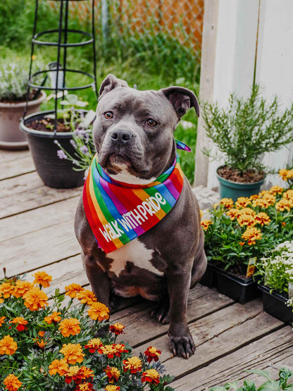 Rainbow Bandana - Walk with Pride