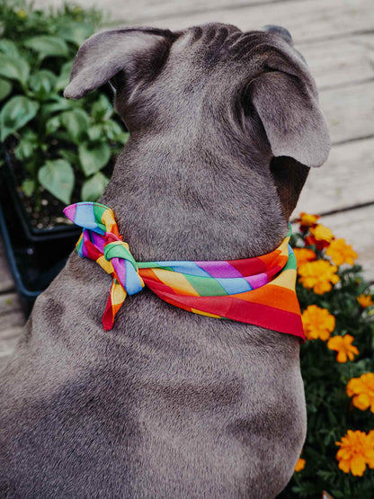 Rainbow Bandana - Walk with Pride