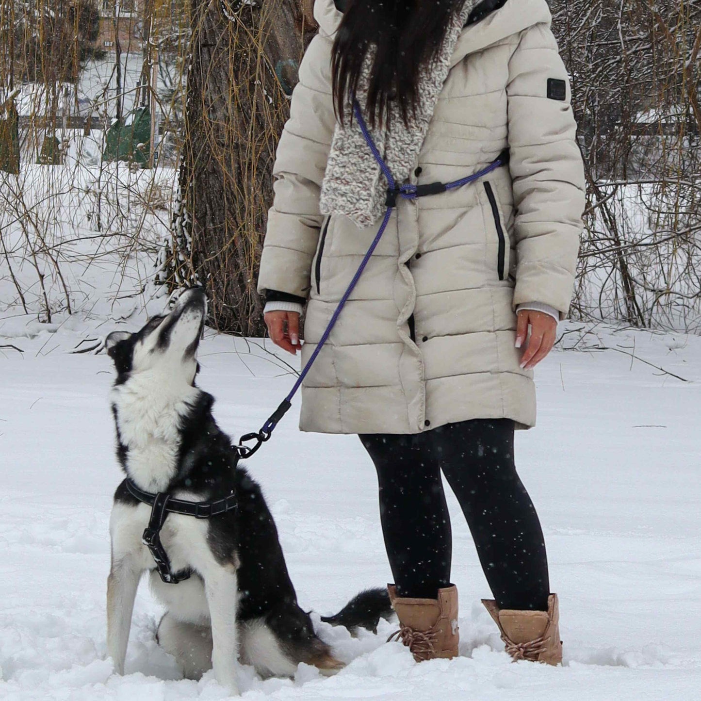 Pathfinder | 5-in-1 Leash