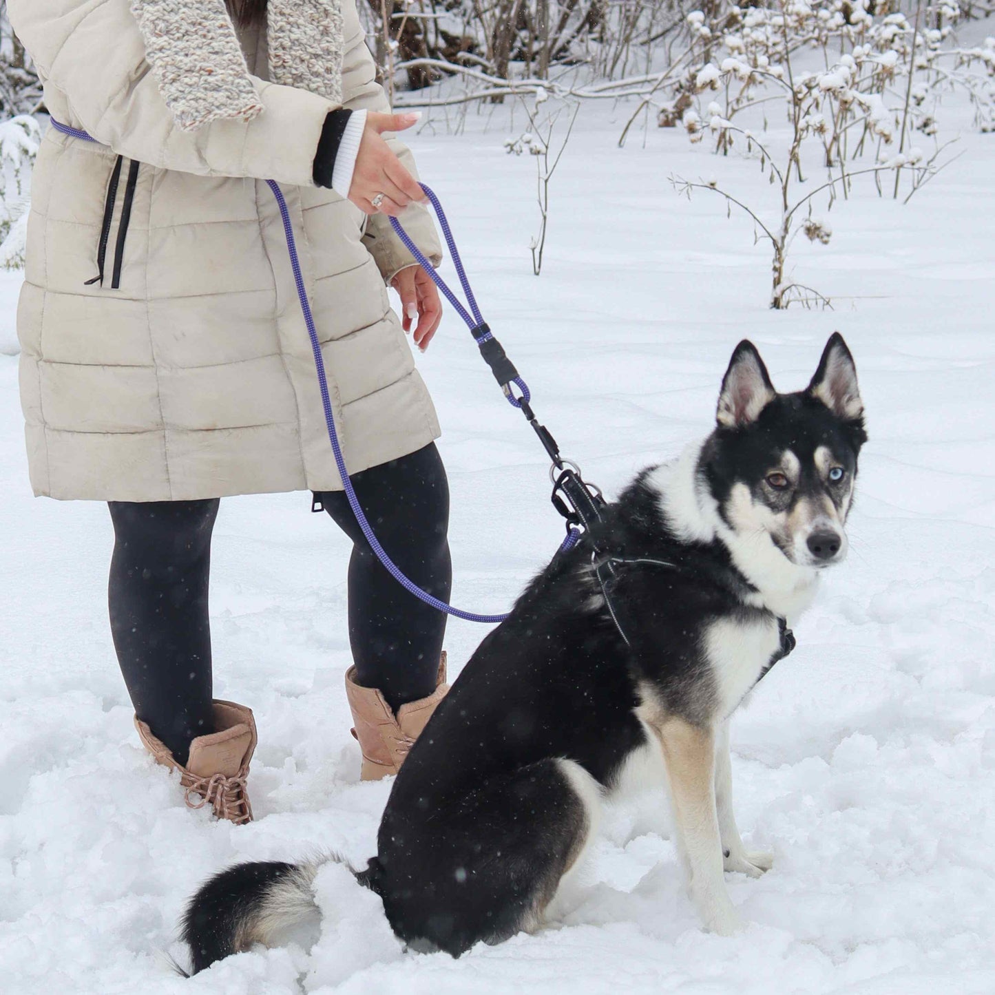 Pathfinder | 5-in-1 Leash