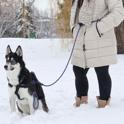 Pathfinder | 5-in-1 Leash