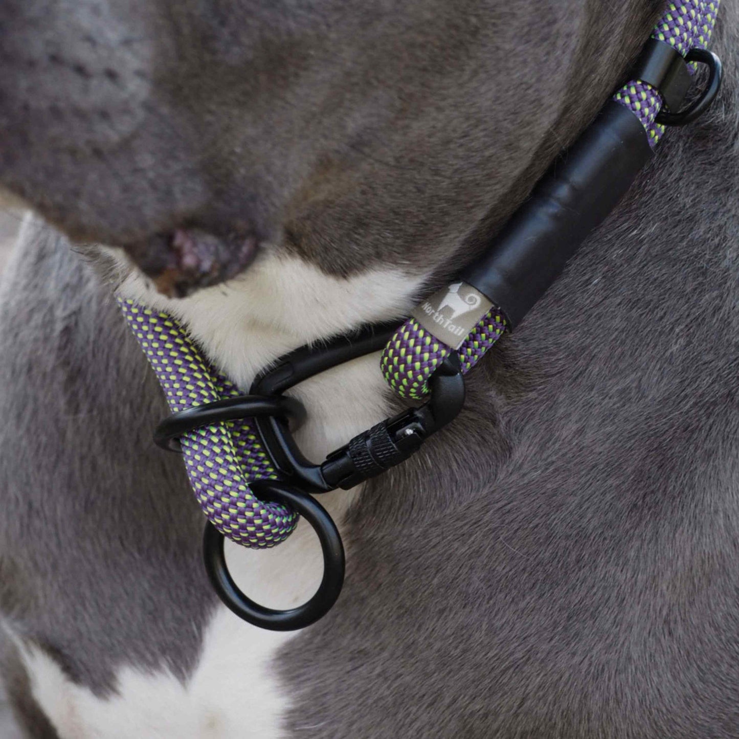 Ridgeline | Carabiner Rope Collar