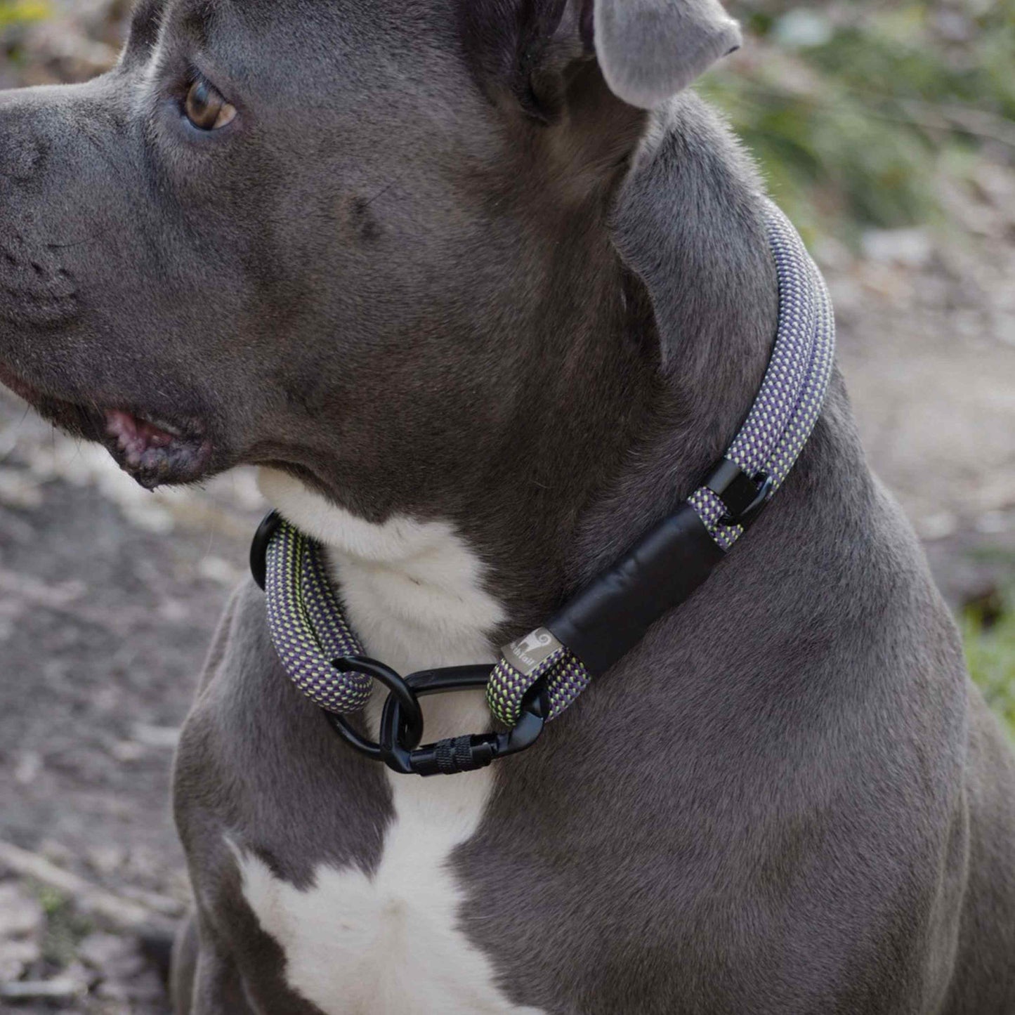 Ridgeline | Carabiner Rope Collar