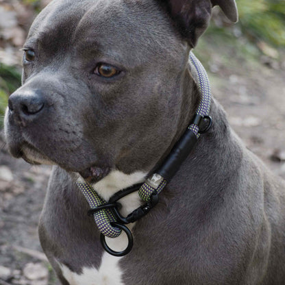 Ridgeline | Carabiner Rope Collar