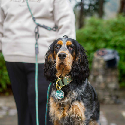 The NT Adjustable Hands-Free Belt