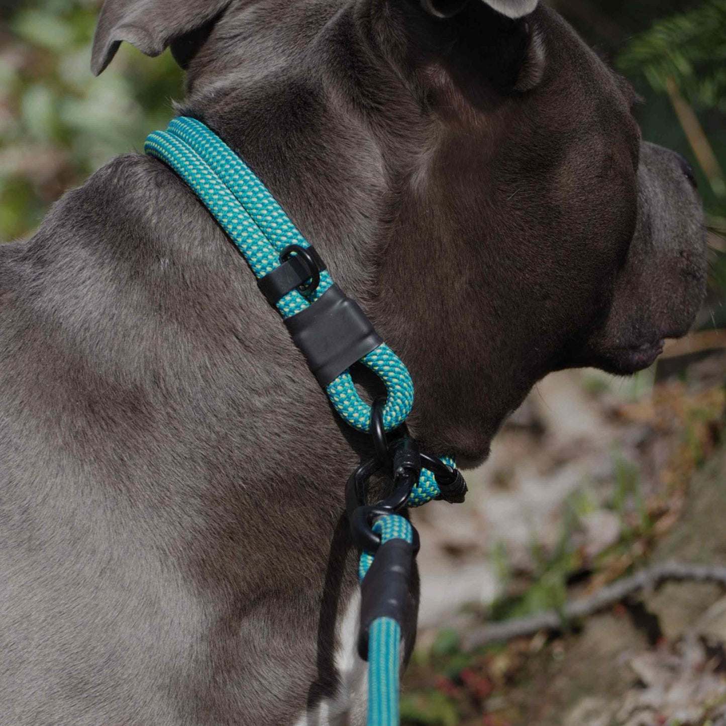 Trailhead | Carabiner Rope Collar