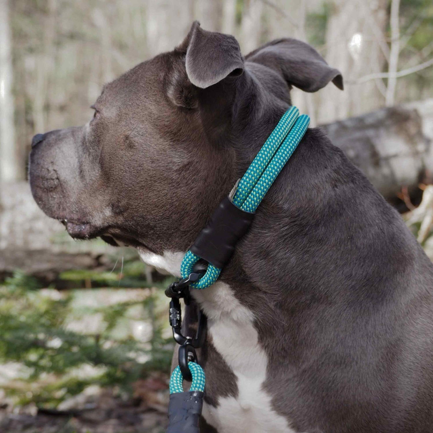 Trailhead | Carabiner Rope Collar