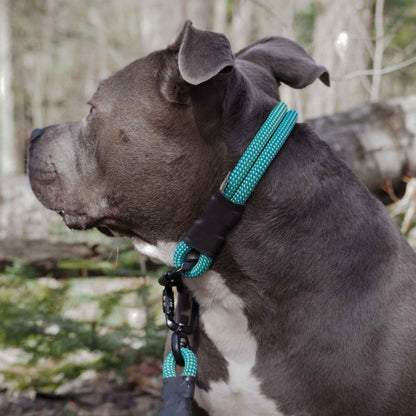 Trailhead | Carabiner Rope Collar