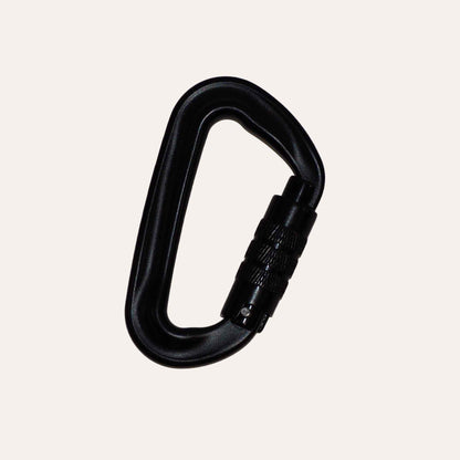 Extra carabiner