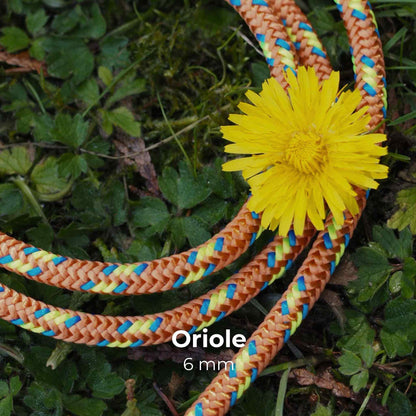 FeatherLite 6mm | Sniff Walker – Basic Everyday Leash