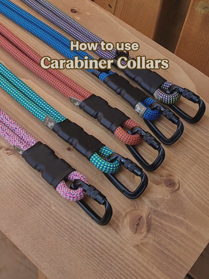 Trailhead | Carabiner Rope Collar