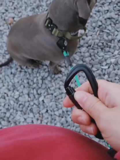 The Adjustable Hands-free Leash