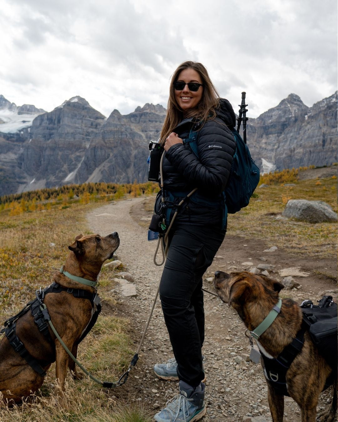 The Adjustable Hands-free Leash