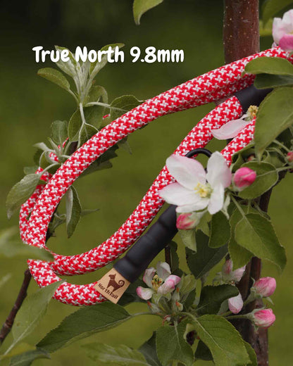 True North 9.8mm climbing rope dog leash by North Tail — handmade in Ontario using genuine UIAA certified rope. Durable and designed for active dogs and outdoor adventures.