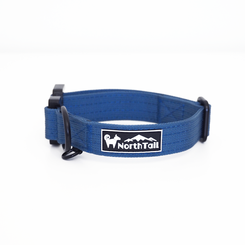 Blue Hydrangeas - 1" North Tail Collar