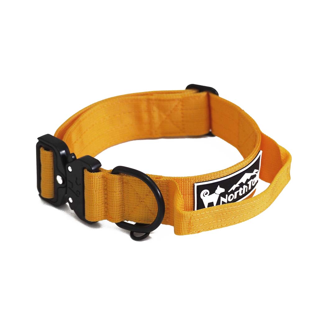 Sunflower Yellow - 1.5" North Tail Collar