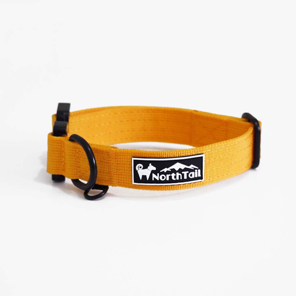 Sunflower Yellow - 1" North Tail Collar