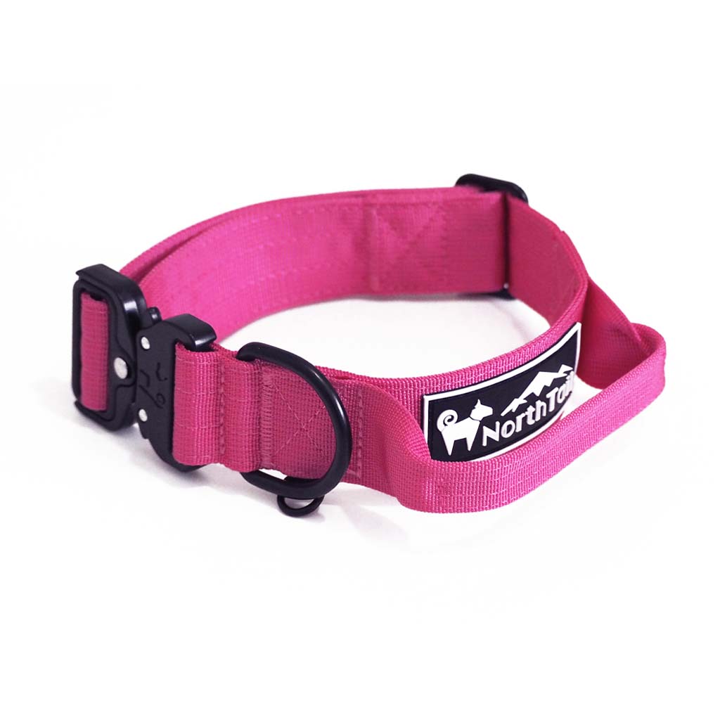 Pink patriots dog sales collar