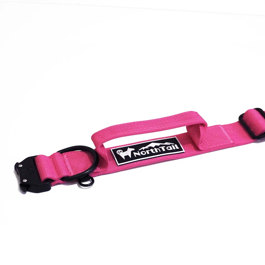 Cosmos Pink - 1.5" North Tail Collar