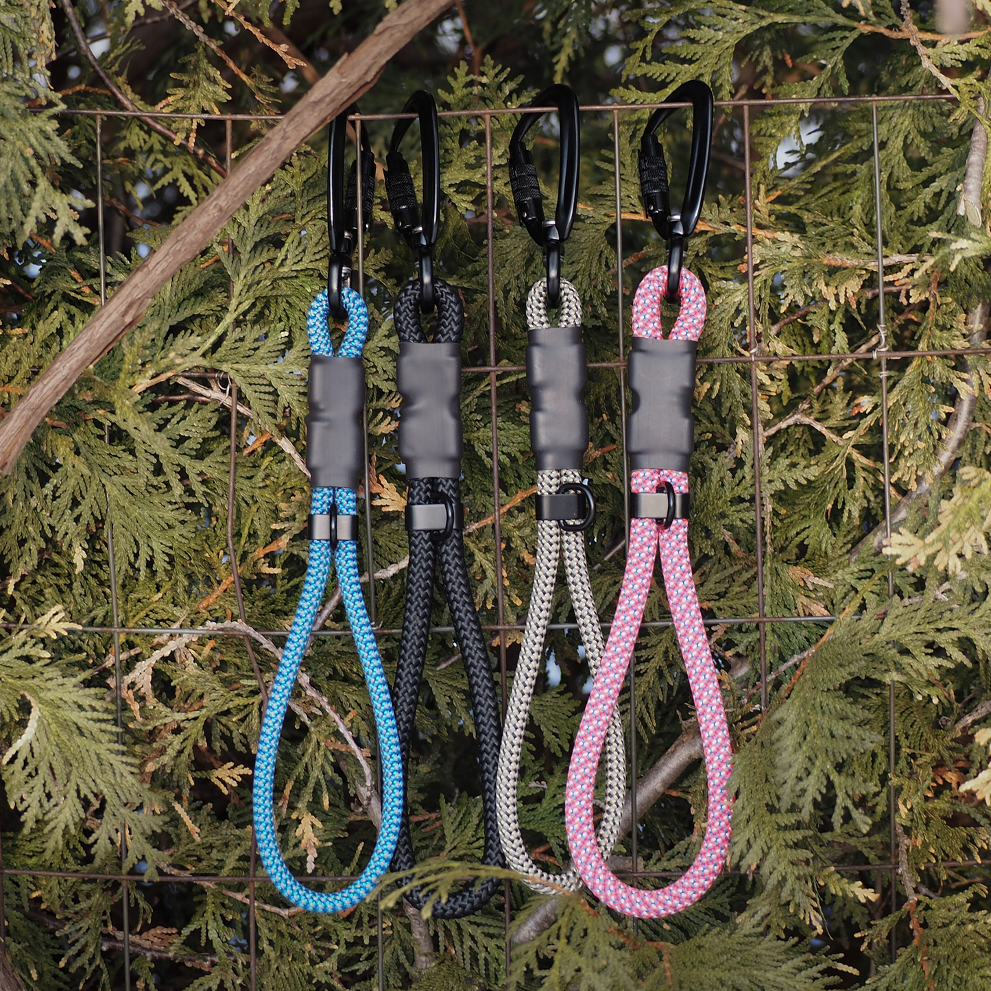 The Wanderlust Leash