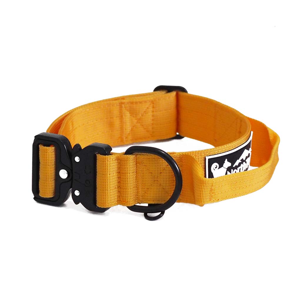 Sunflower Yellow - 1.5" North Tail Collar