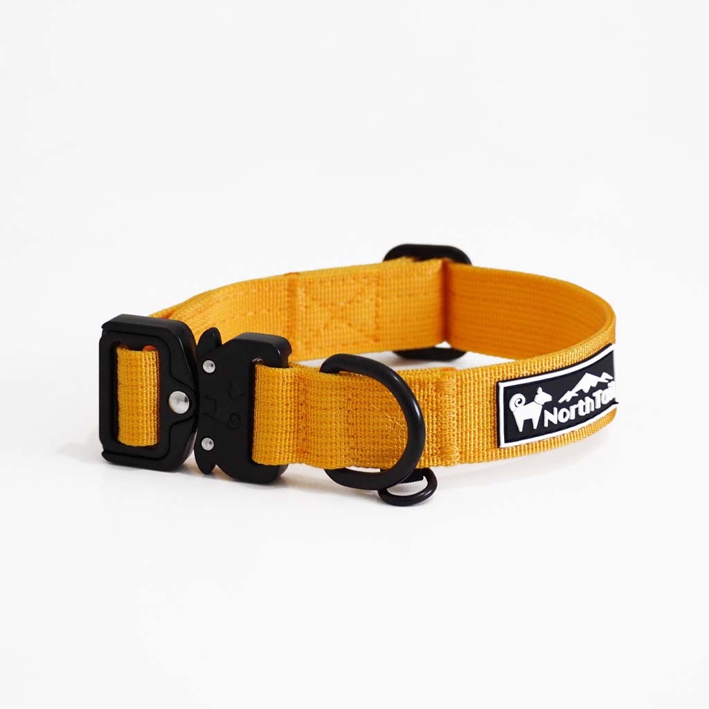 Sunflower Yellow - 1" North Tail Collar