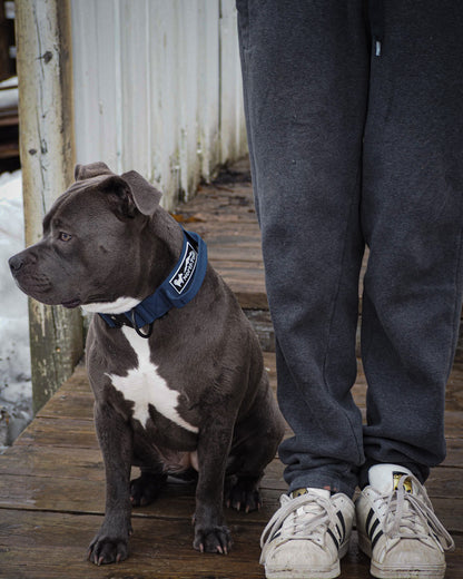 Blueberry Navy - 1.5" North Tail Collar